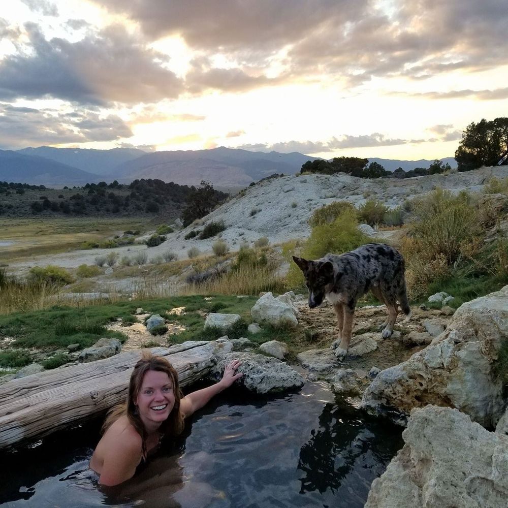 Meet your Posher, Abbie